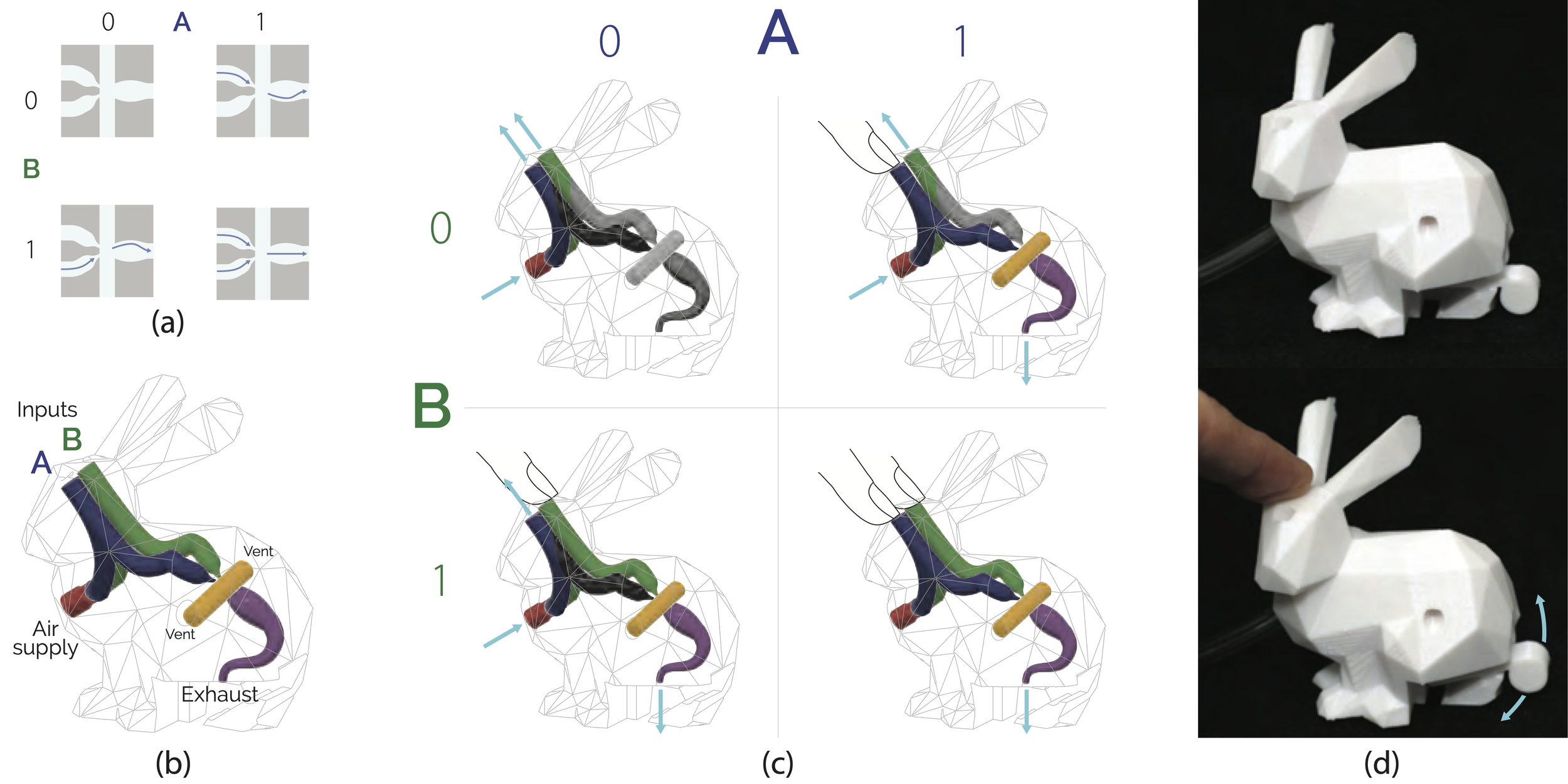 A diagram shows air flow through channels in a bunny model, labeled A and B,
with a real white 3D-printed bunny demonstrating movement on the
right.