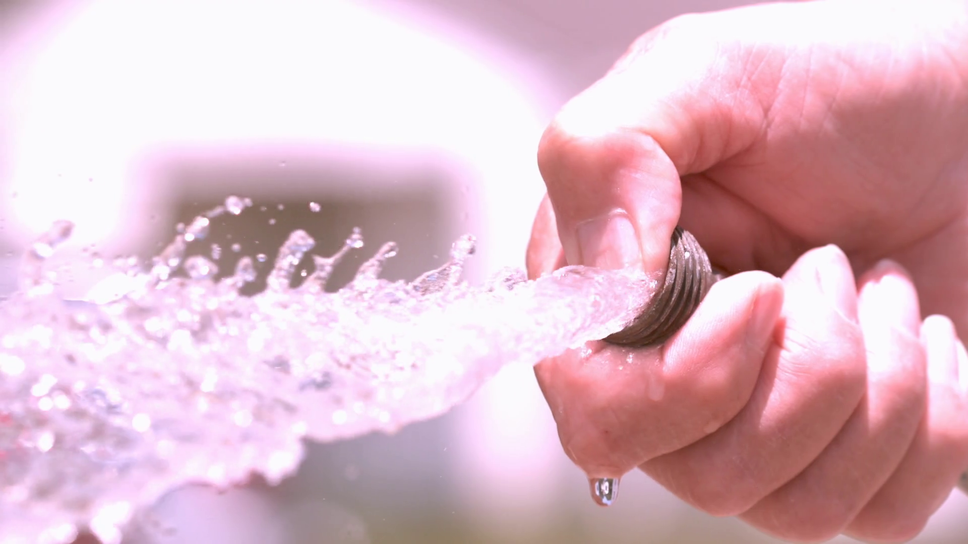 Close-up of a hand gripping a garden hose, spraying a stream of water.
Sunlight creates a sparkling effect on the water droplets, conveying a
refreshing feel.