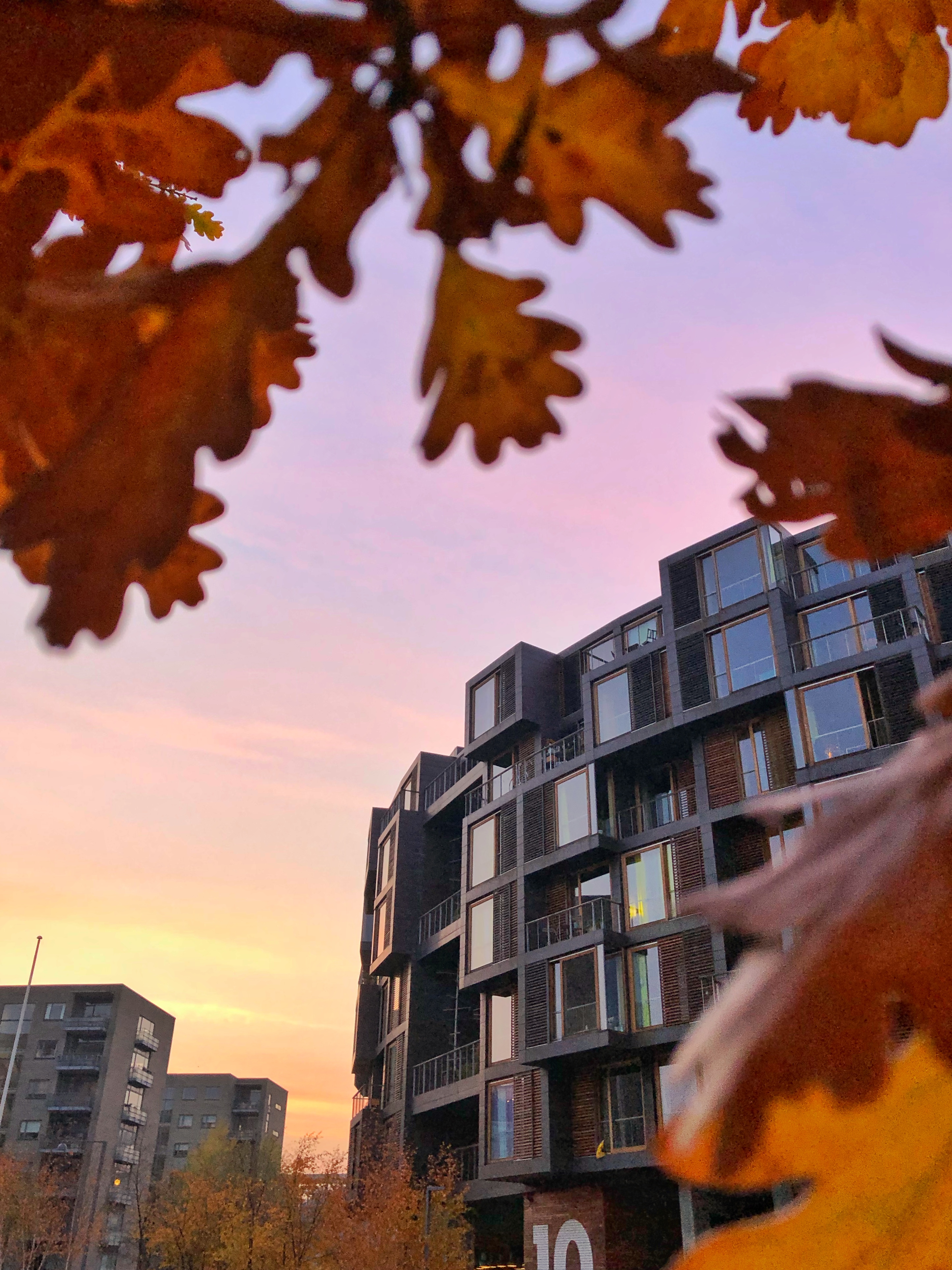 A modern, geometric apartment building framed by autumn leaves, with a pastel
sunset sky in the background, giving a warm and cozy urban
atmosphere.