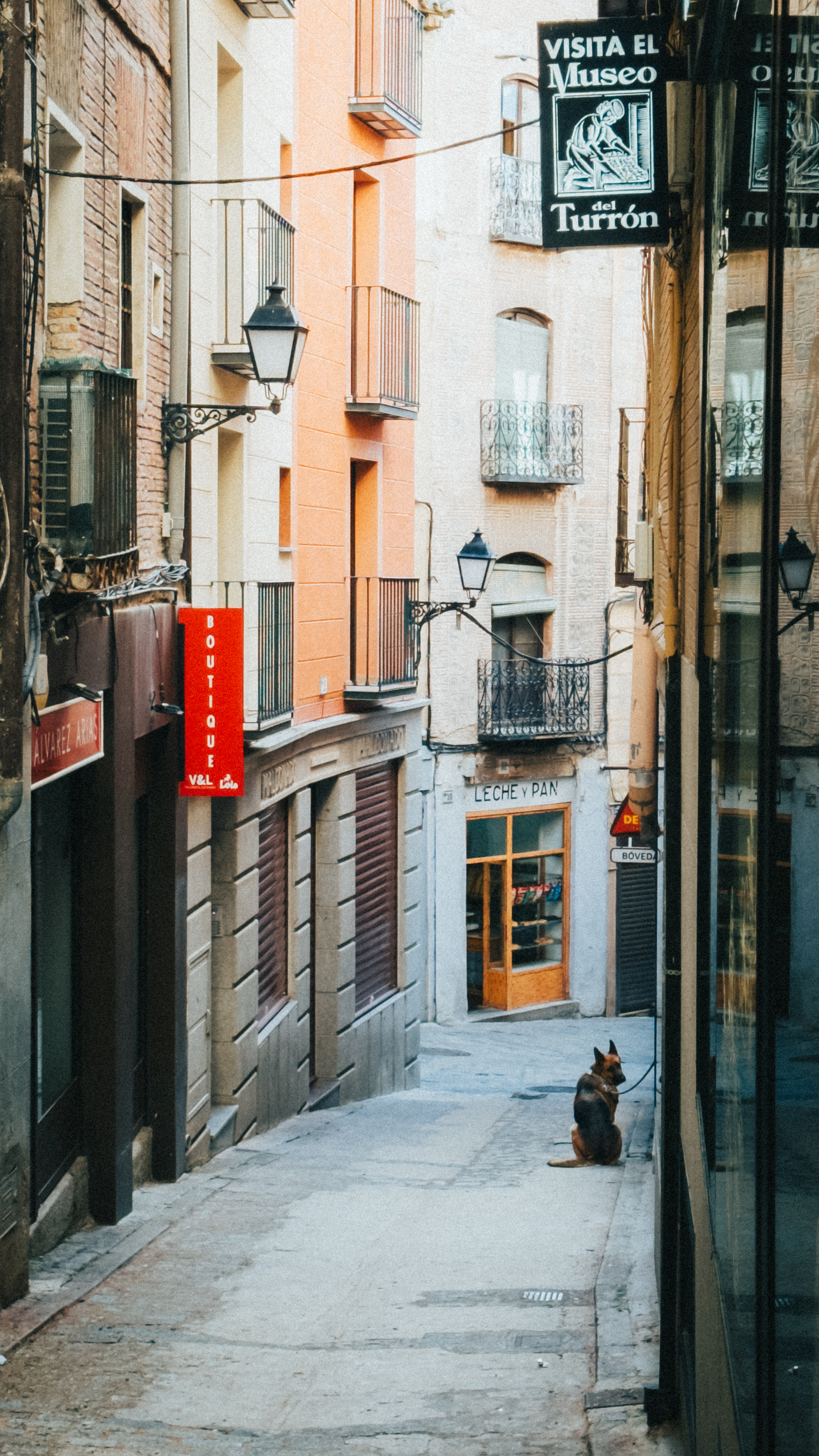 A quiet, narrow street in a European town lined with old buildings, boutique
signs, and balconies, with a German Shepherd dog sitting alone on the sidewalk
near a bakery entrance.