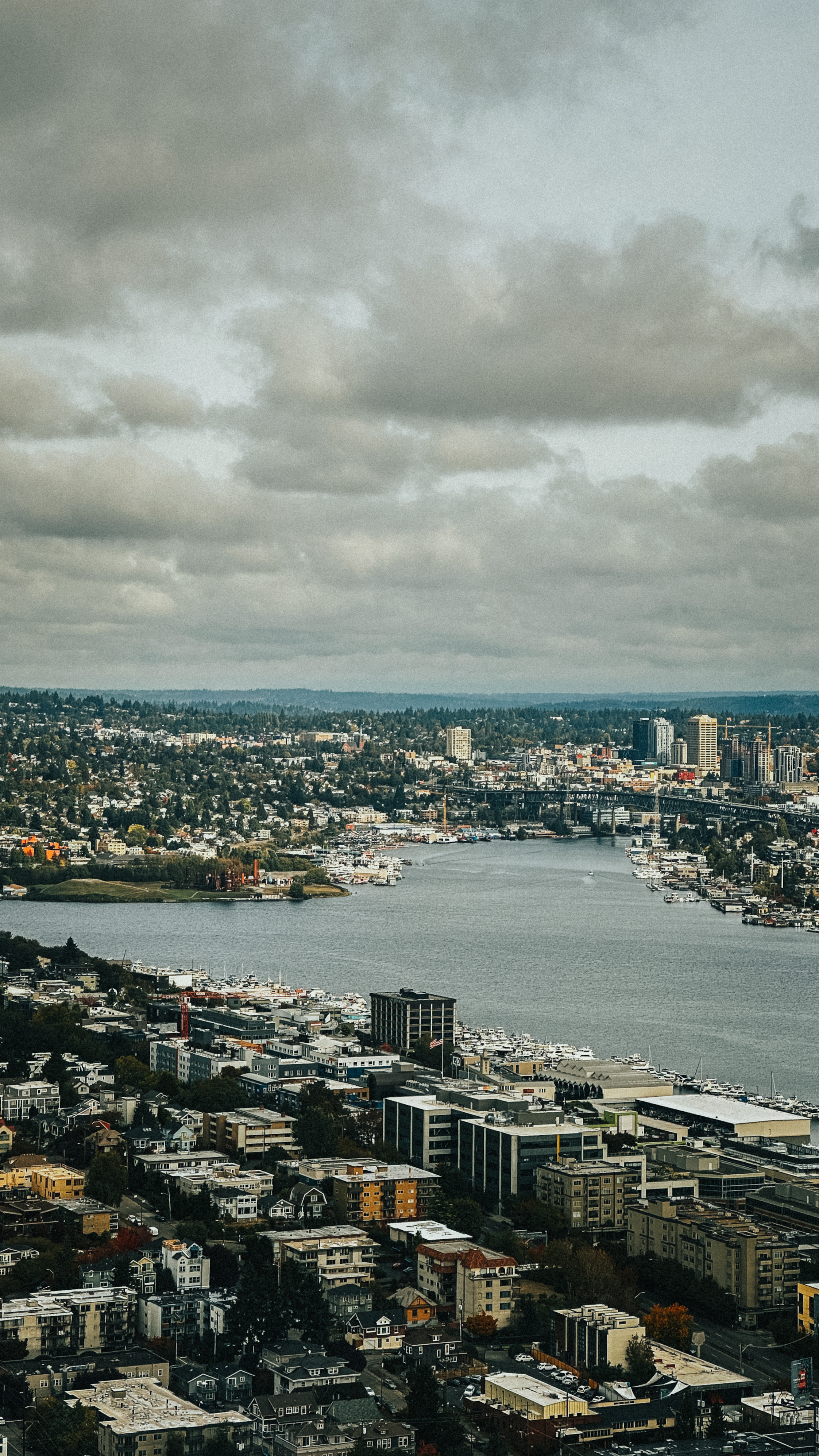 An aerial view of a city with a river or lake running through it, lined by
boats, buildings, and dense greenery under a cloudy
sky.