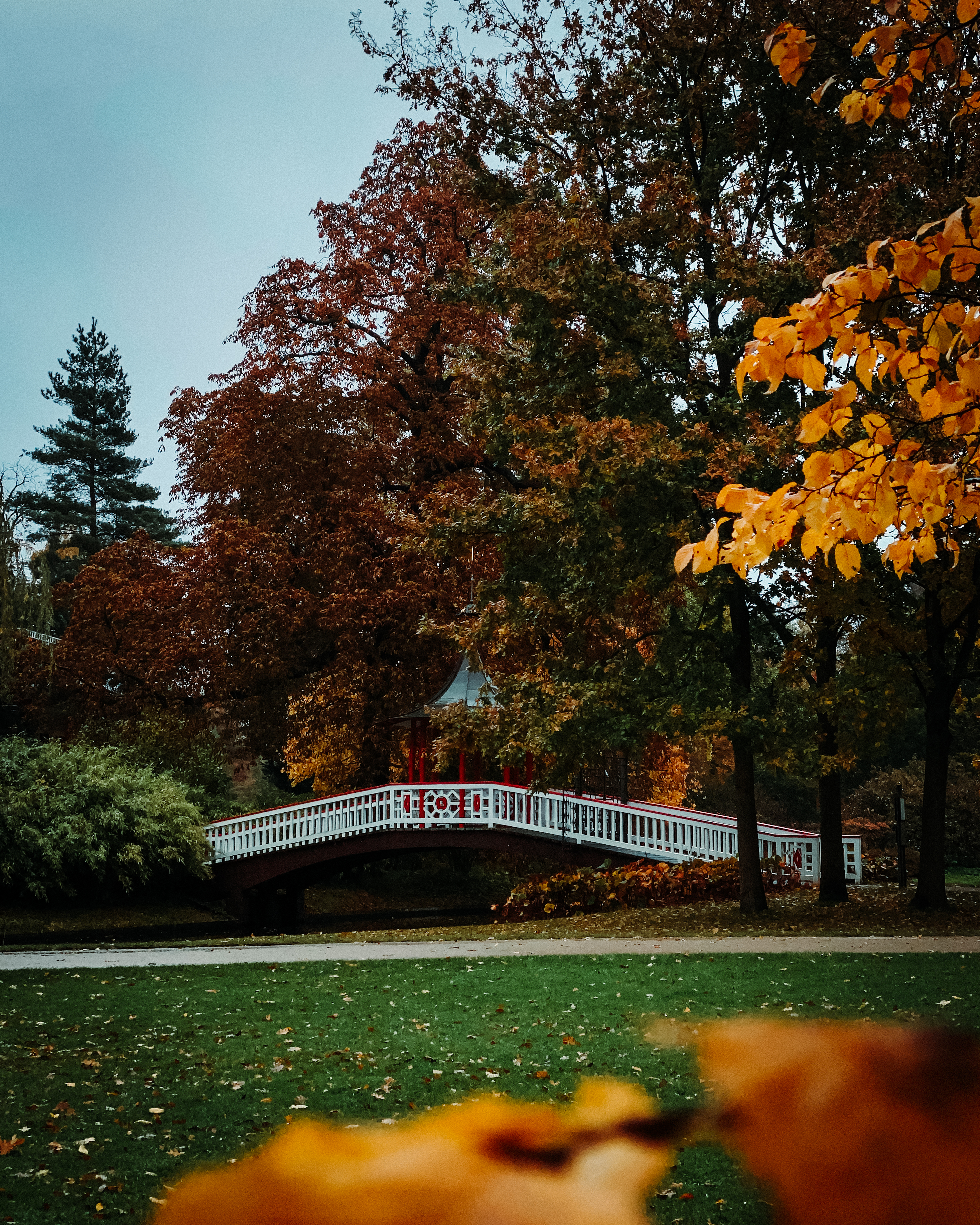 A picturesque white wooden bridge with red accents crosses over a small stream
in a park filled with trees in autumn
colors.