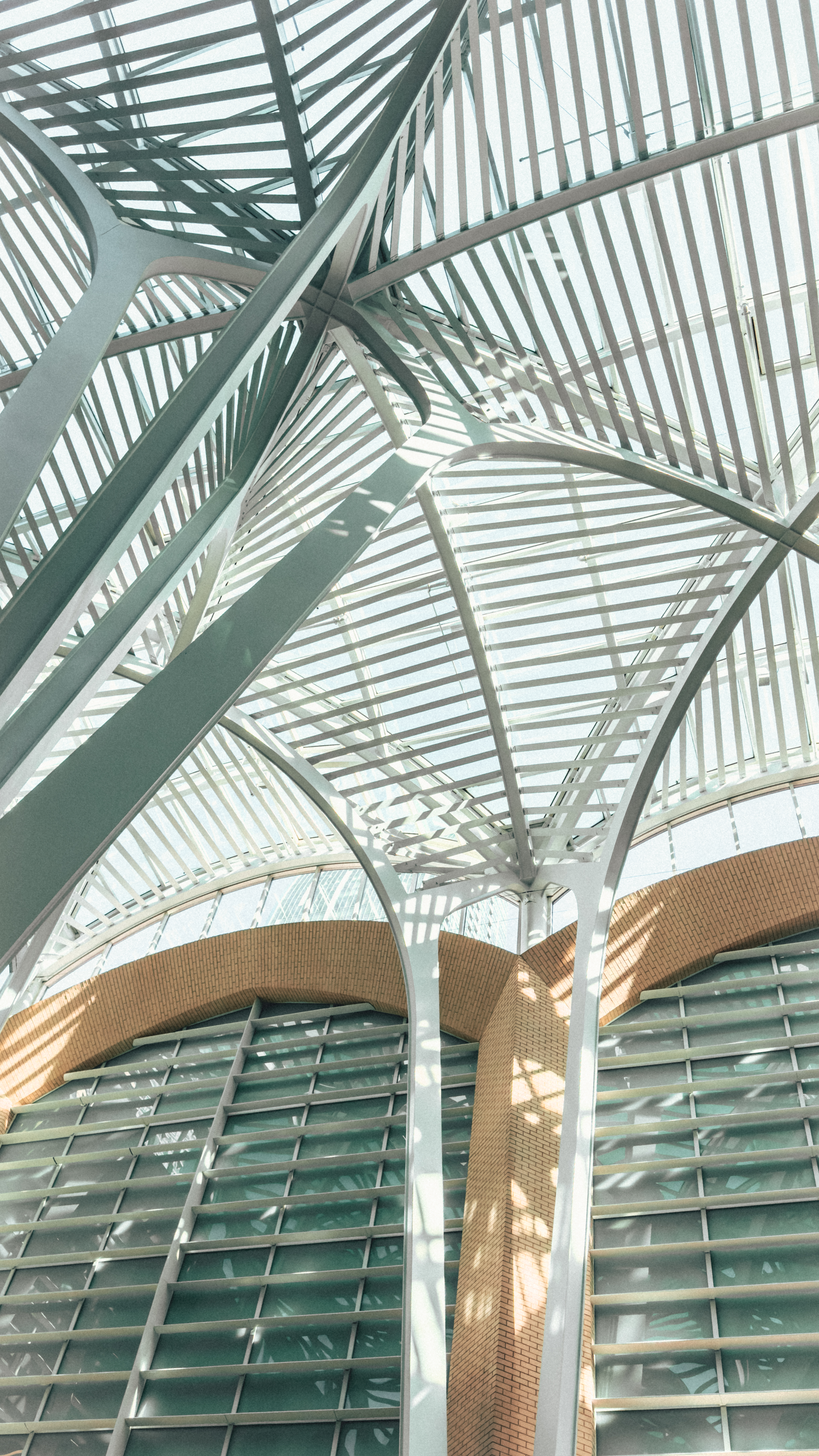 The interior of a modern building with an intricate, white steel and glass
roof structure casting abstract shadows onto the brick and glass walls
below.