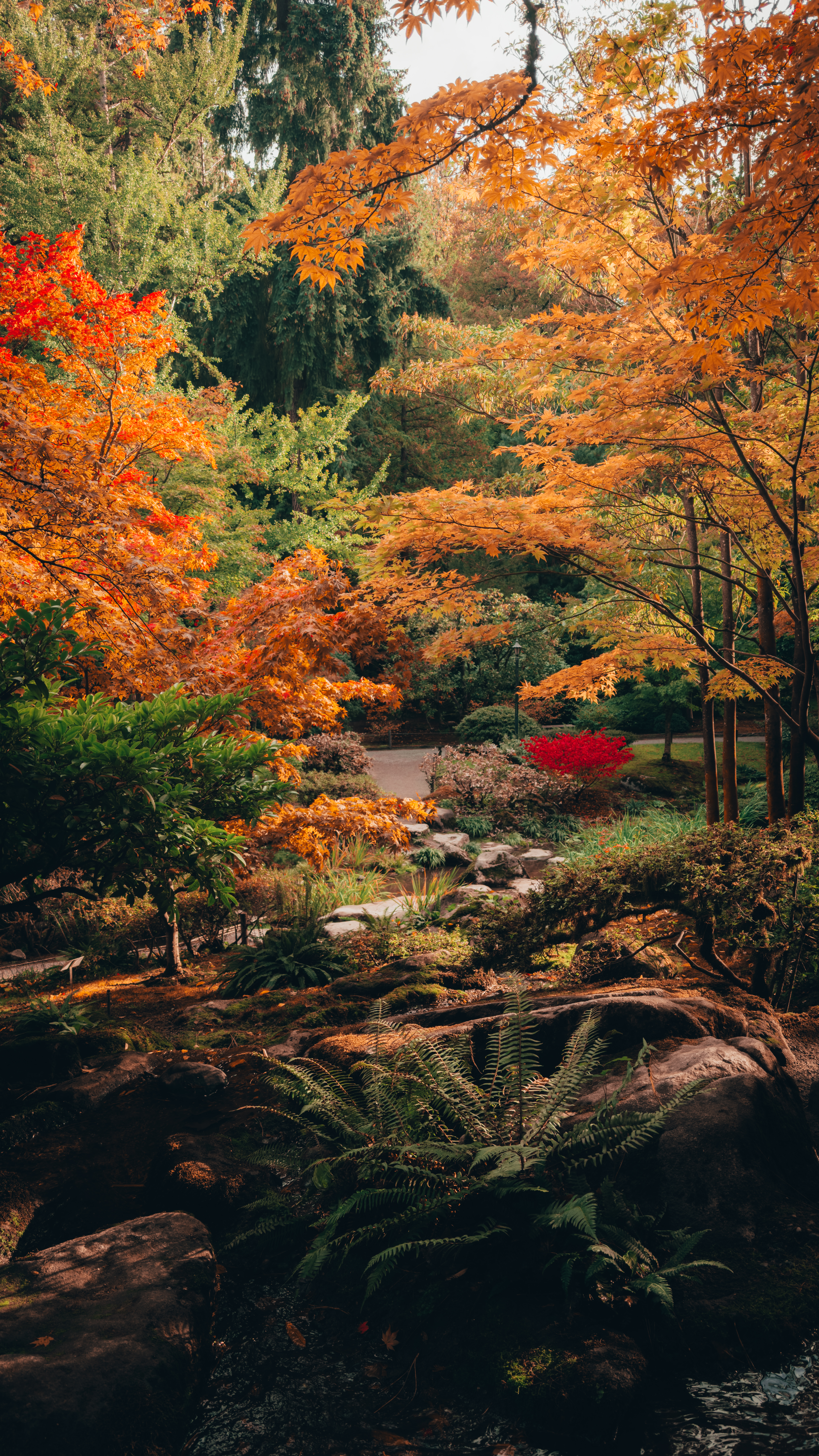 A lush autumn garden with vibrant orange, red, and green foliage, and a small
stone path crossing through it.