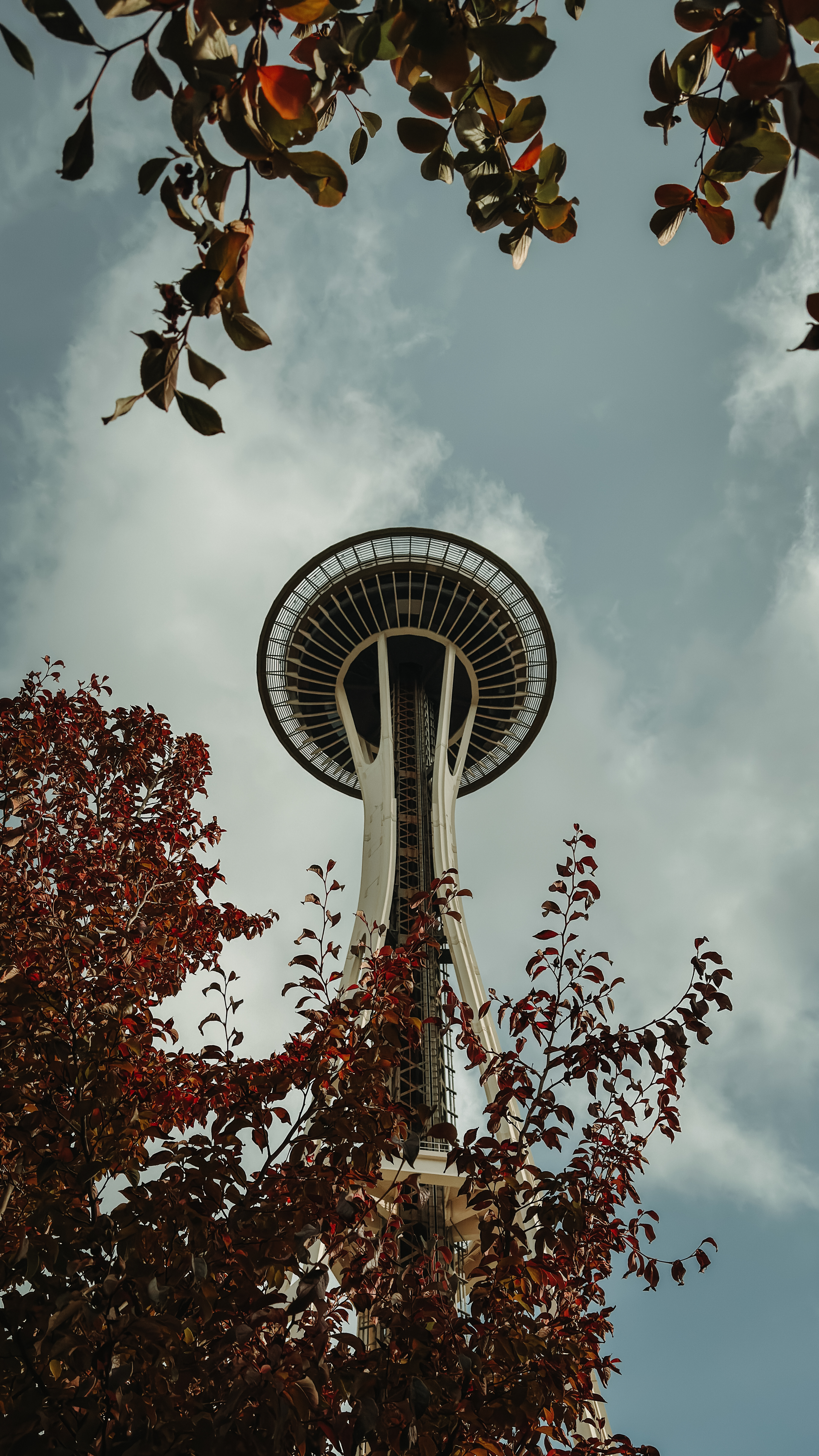The Space Needle in Seattle viewed from below, framed by reddish autumn leaves
and a cloudy sky.